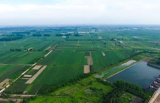 農村生活汙水粉色APP污视频下载承包公司哪裏有？