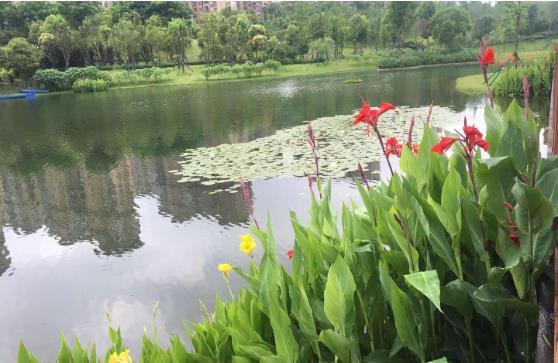 農村生活汙水粉色APP污视频下载找哪家公司好？